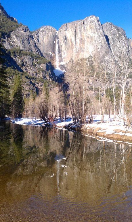 Nature'S Inn Bed And Breakfast Ahwahnee Ngoại thất bức ảnh